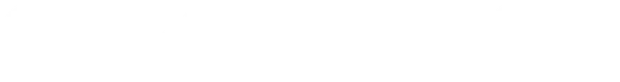 Logo Connevo in bianco